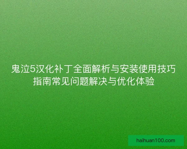 鬼泣5汉化补丁全面解析与安装使用技巧指南常见问题解决与优化体验